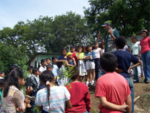 conciencia ambiental
