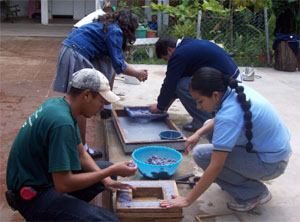 Basura de papel