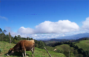 ecosistema